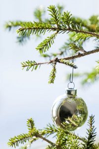 How to dispose your Christmas tree after the holidays